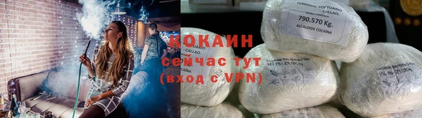 прущие грибы Каменногорск
