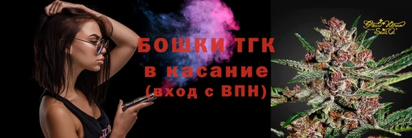 ECSTASY Белокуриха