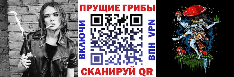 где купить наркоту Валдай Псилоцибиновые грибы MAGIC MUSHROOMS